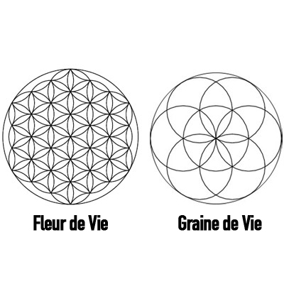 Fleur de vie